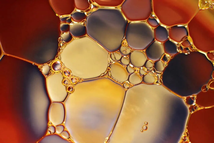 Golden oil droplets in macro, tallow's lipid profile mimics sebum.