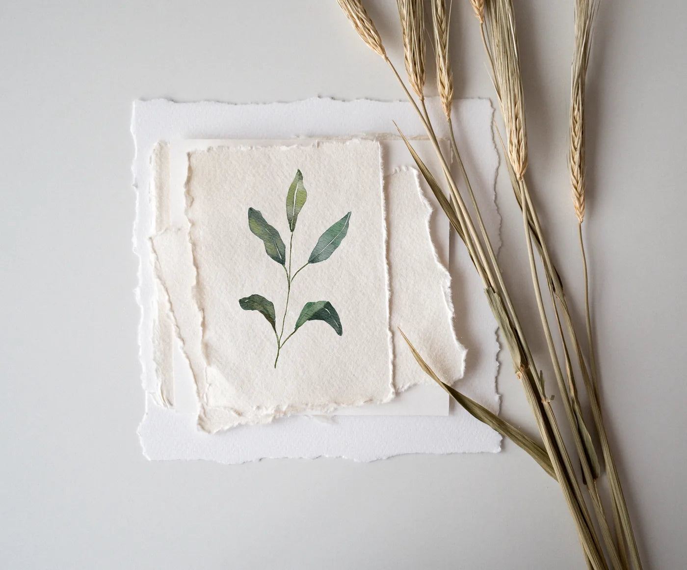 Soft green botanical in calm neutral light, soothing sensitive-skin mood.