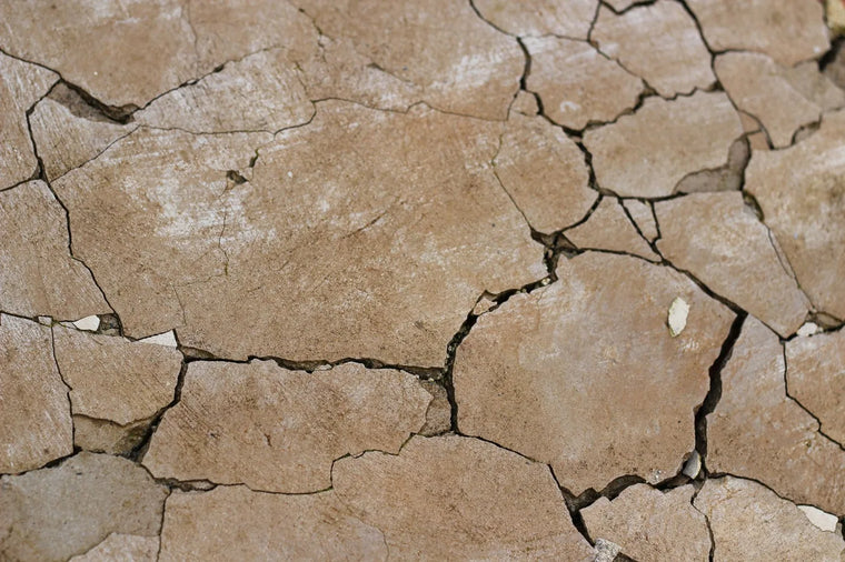 Warm neutral dry-earth texture evoking parched skin and barrier repair.