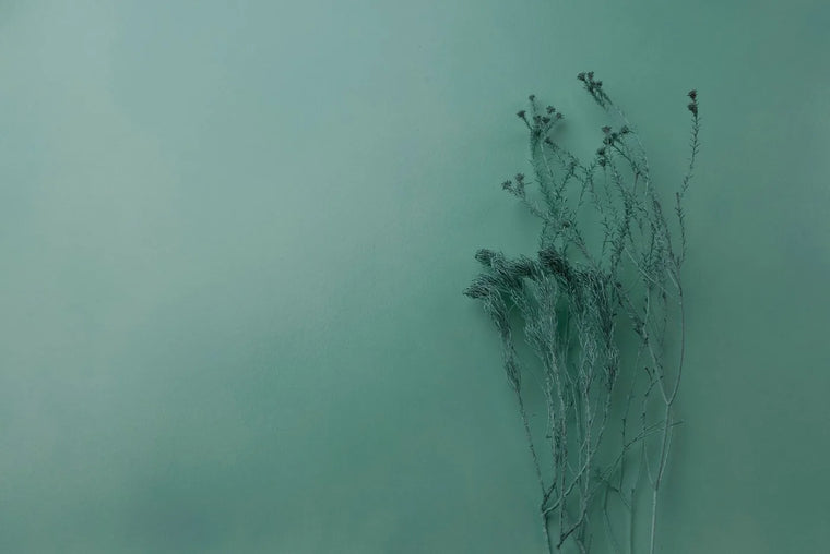 Calming green botanical in soft neutral light, gentle skin-soothing mood.