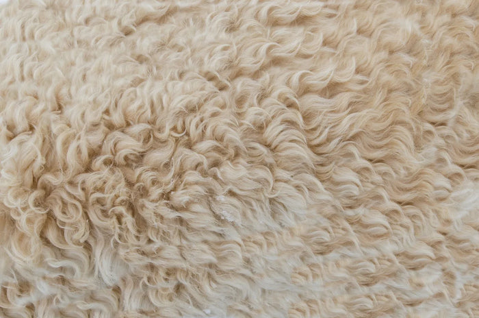 Soft neutral texture macro in warm tones, emollient comparison skincare mood.