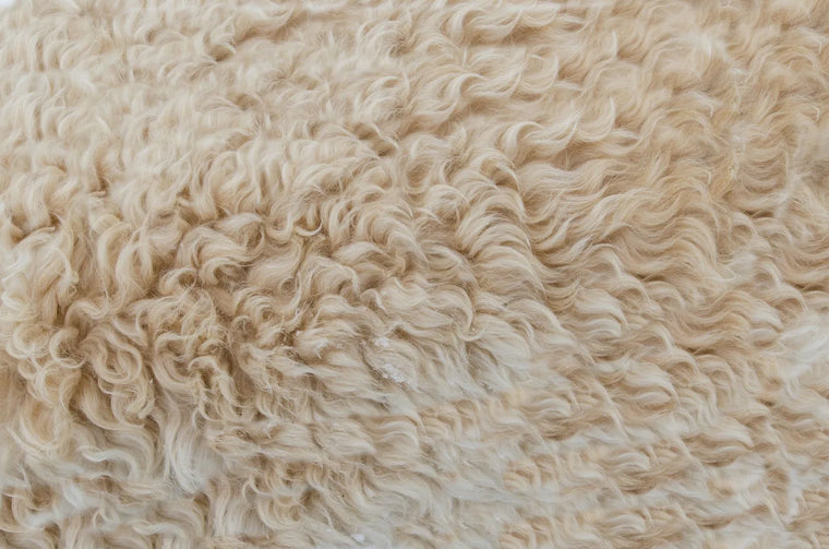 Soft neutral texture macro in warm tones, emollient comparison skincare mood.